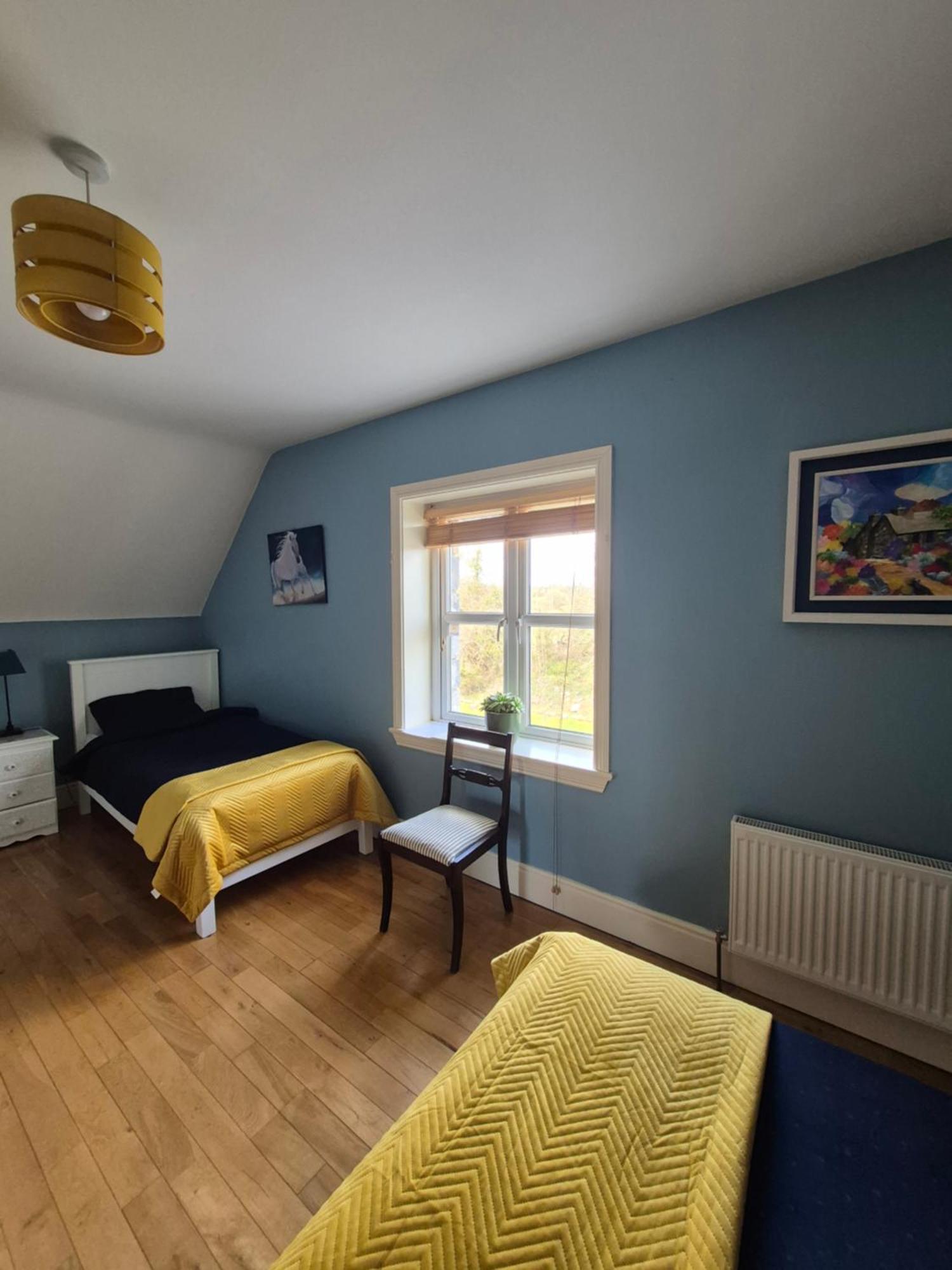 Ballinasloe Guest House In The Heart Of The Country Kültér fotó